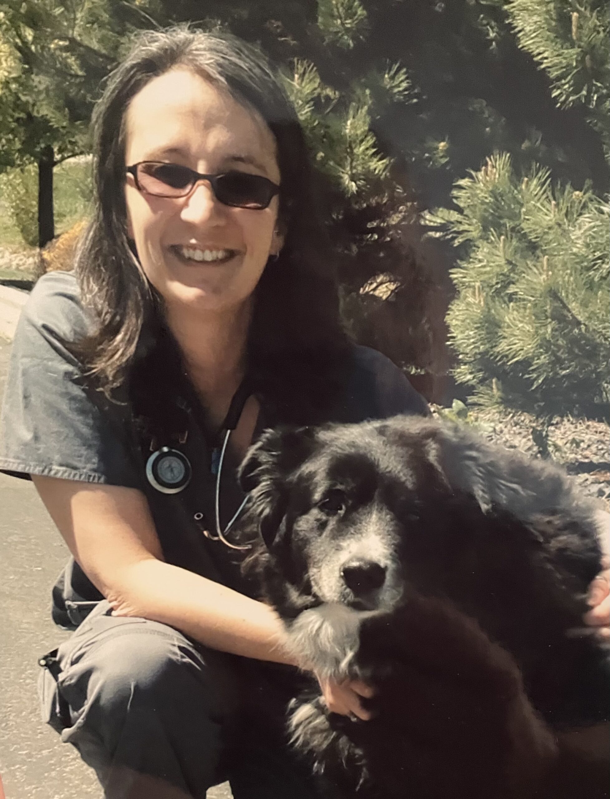 New About Us Mountain Mobile Veterinary